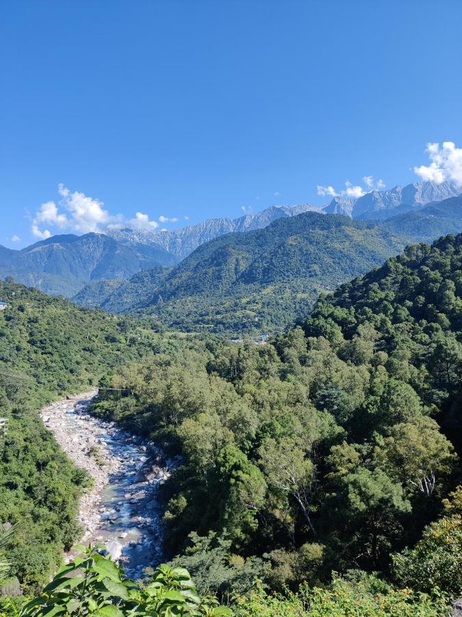 Dhauladhar View Village Resort Dharamshala Buitenkant foto