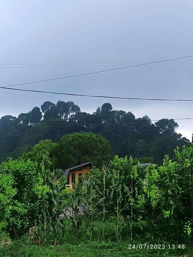 Dhauladhar View Village Resort Dharamshala Buitenkant foto