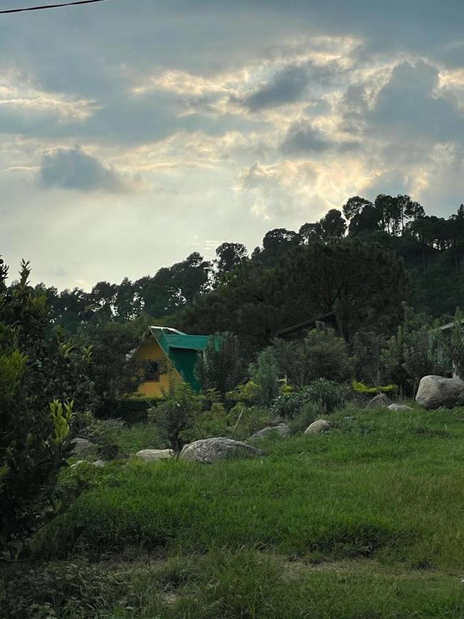 Dhauladhar View Village Resort Dharamshala Buitenkant foto