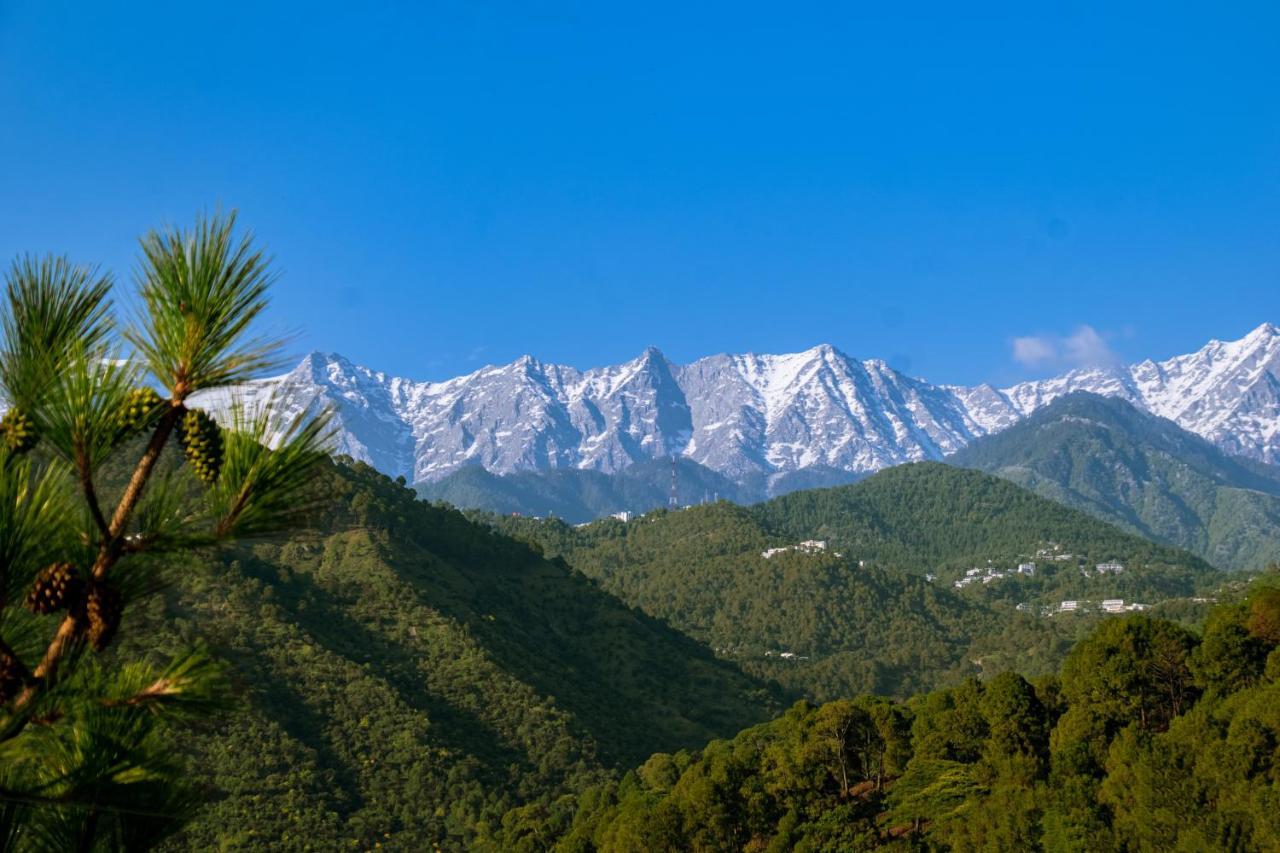 Dhauladhar View Village Resort Dharamshala Buitenkant foto
