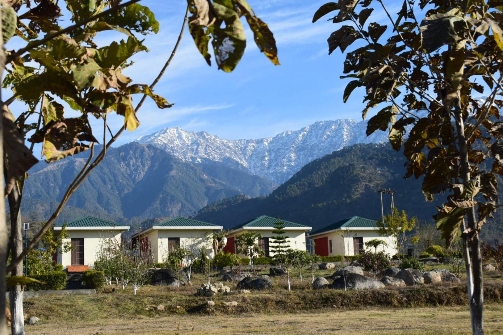 Dhauladhar View Village Resort Dharamshala Buitenkant foto